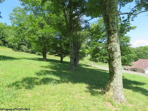 LAND - Buckhannon, WV