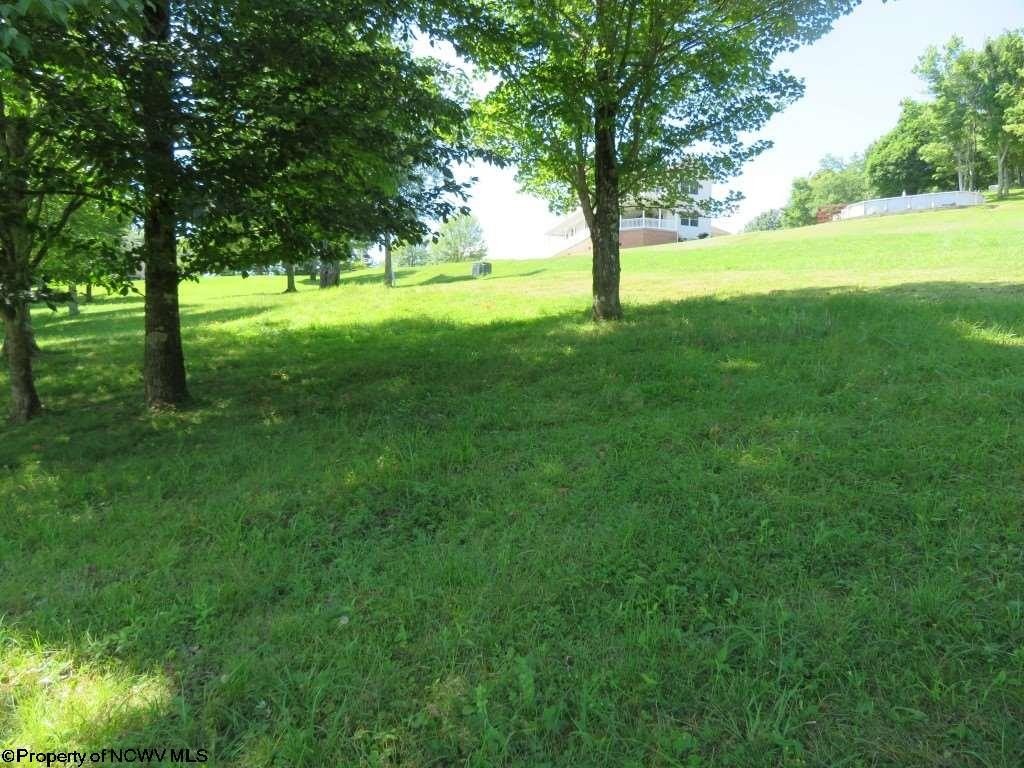 Picture 3