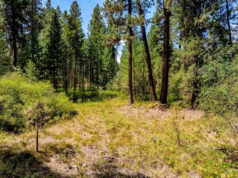 Idaho Mountain Land For Sale