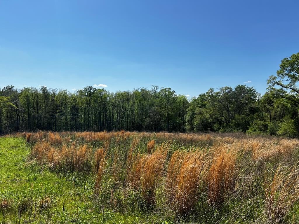 Land with Creek in Goshen