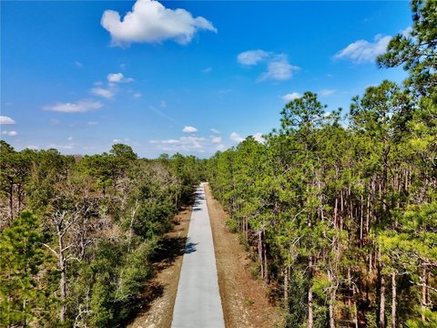 Land, DUNNELLON, FL