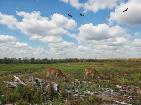 40 Acres of Recreational Land
