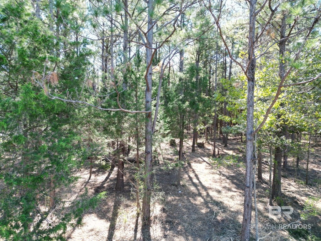 Picture 6