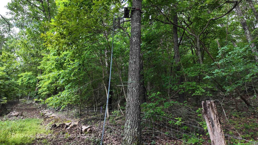 Picture 19