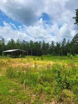 Undeveloped Land with Pole Barn