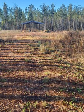 Undeveloped Land with Pole Barn