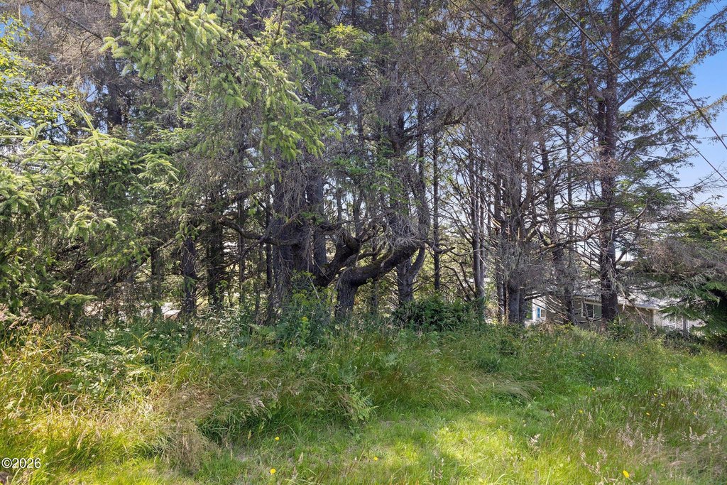 Picture 12