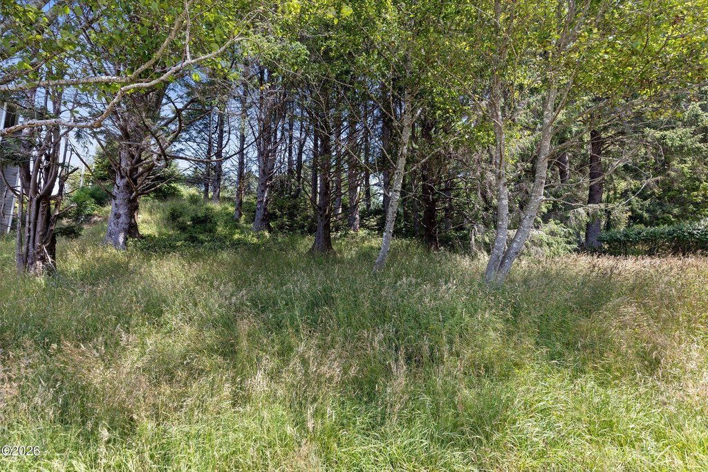Picture 10