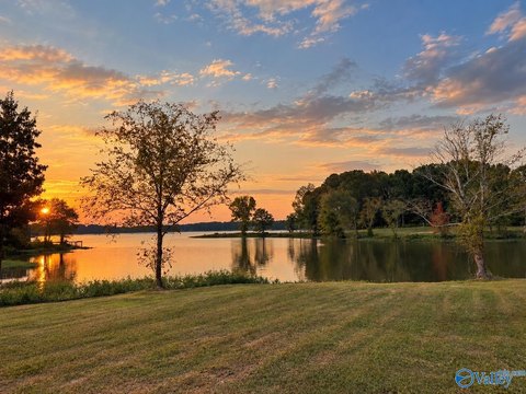 Land, Cedar Bluff, AL