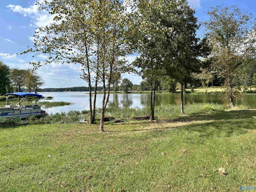 Picture 21