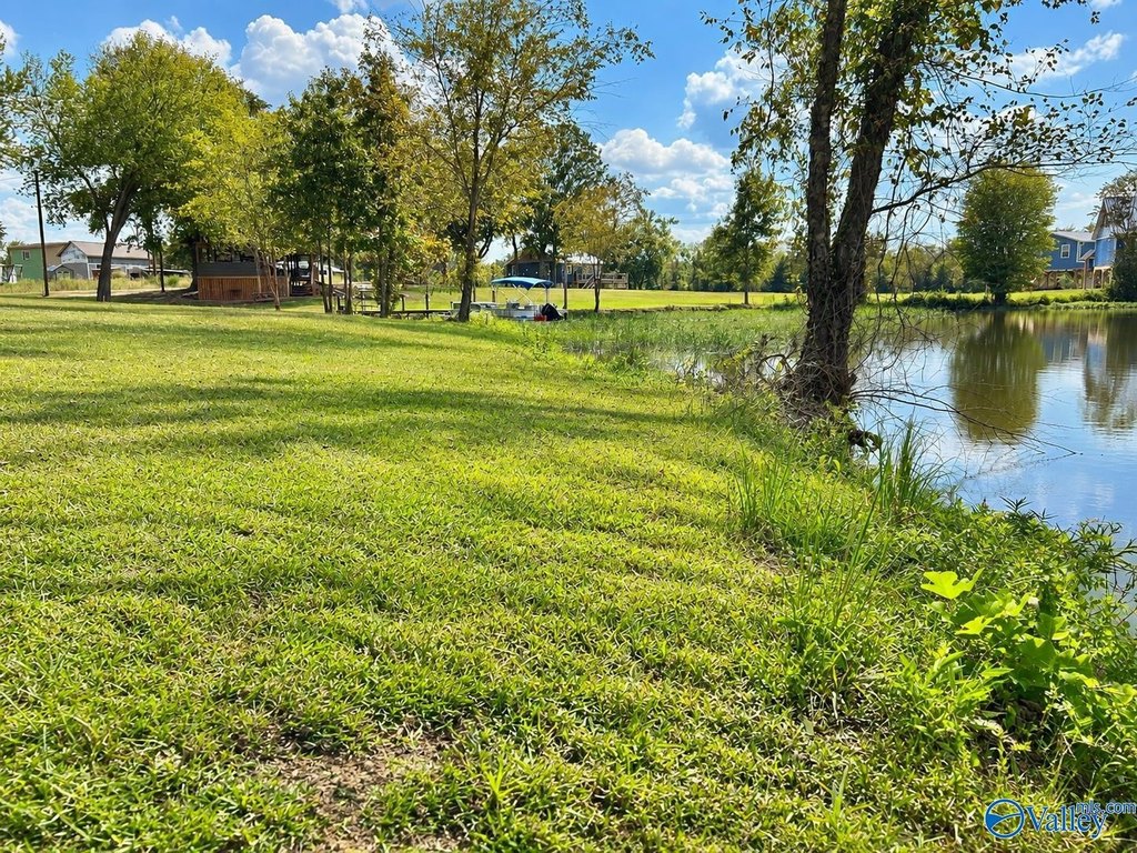 Picture 27