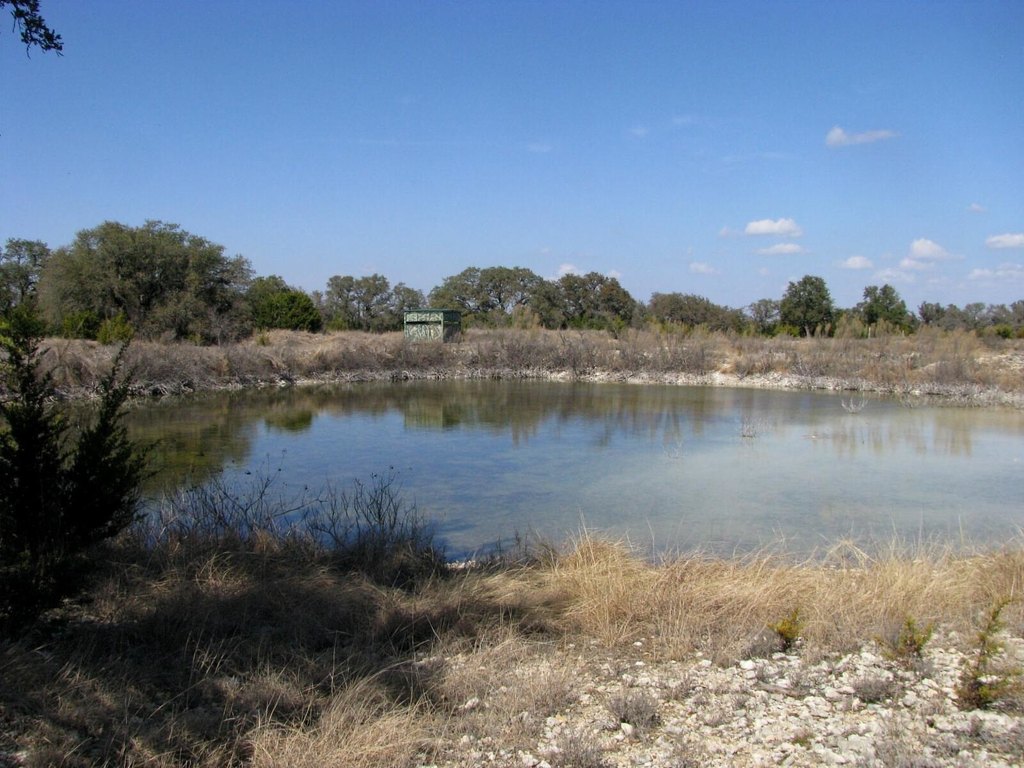 Picture 9