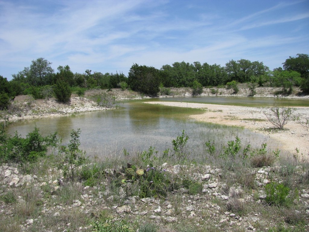 Picture 8