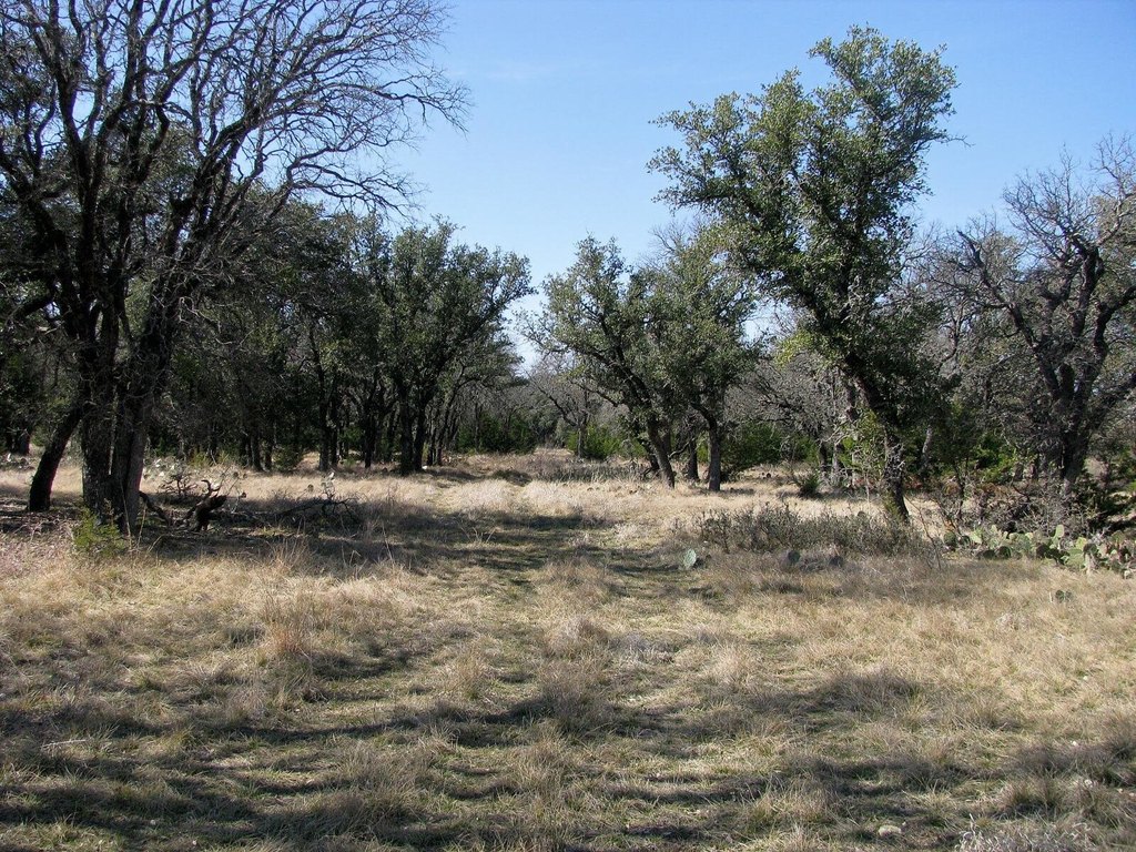 Picture 21