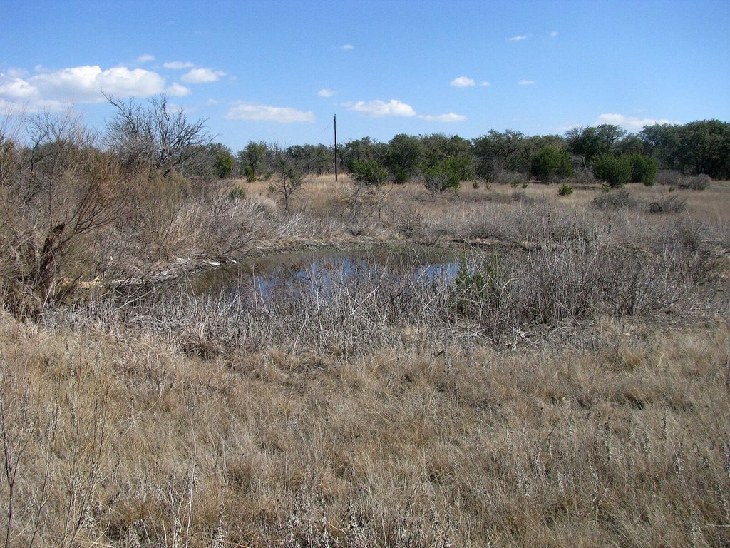 Picture 18