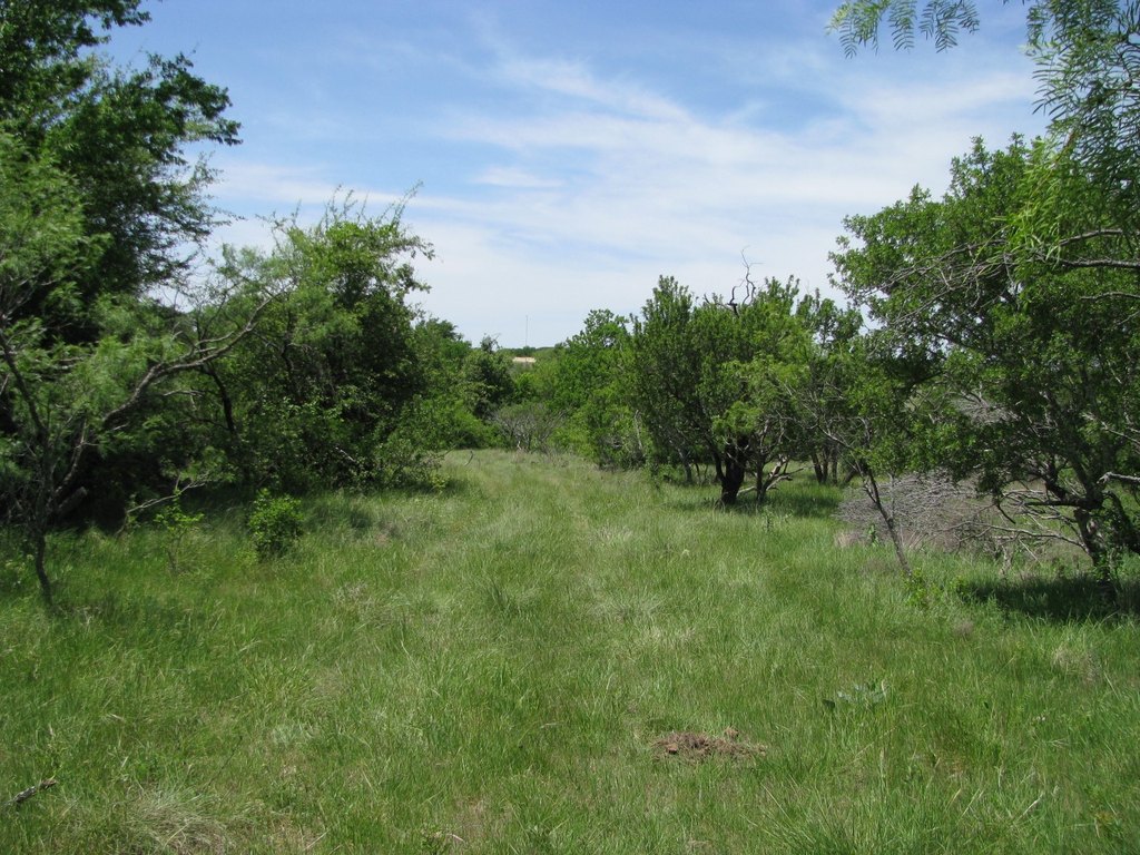 Picture 3