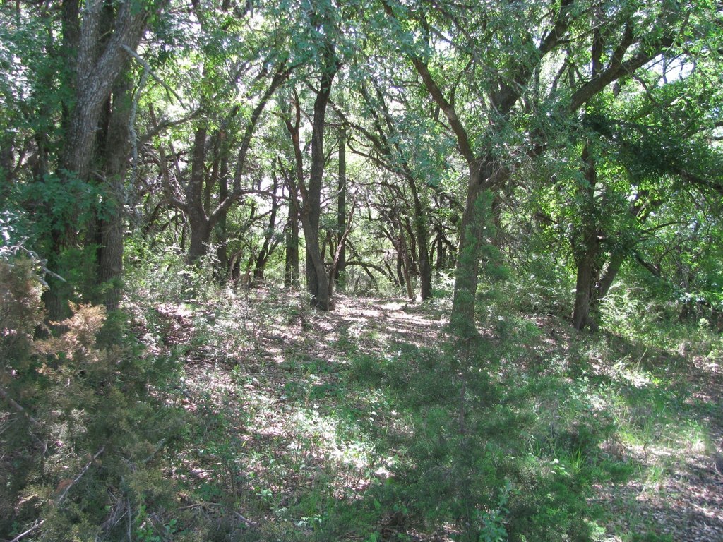 Picture 12