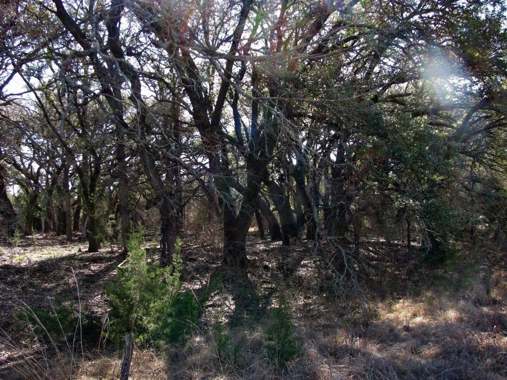Picture 13