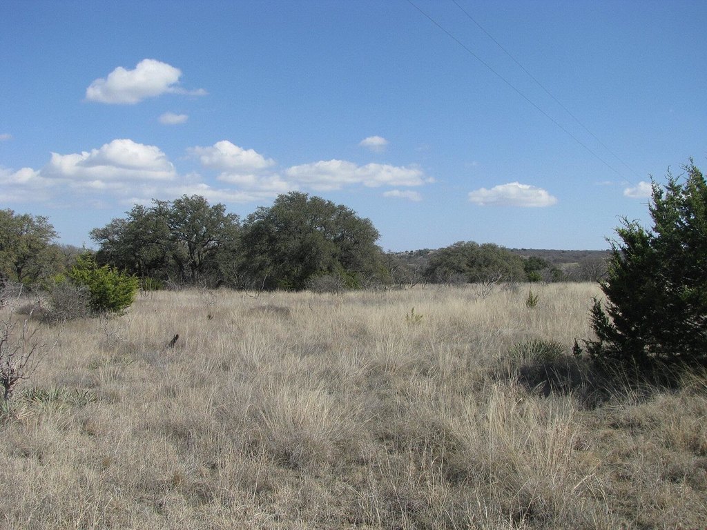 Picture 17