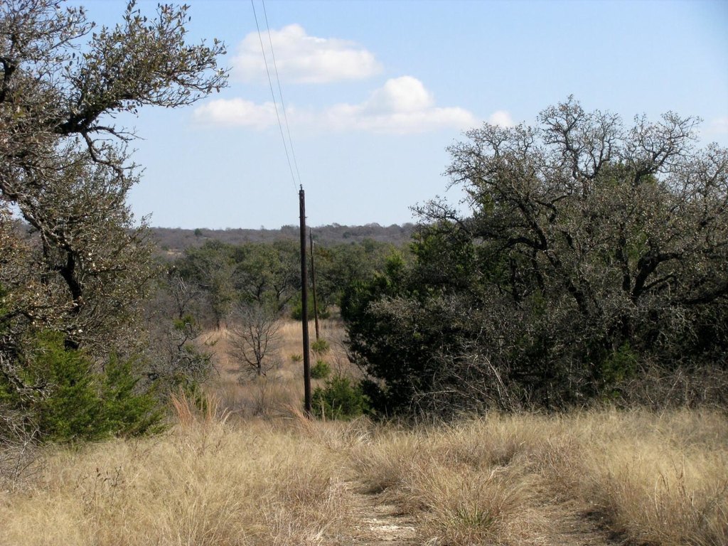 Picture 20