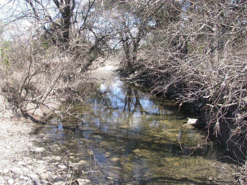 Picture 11