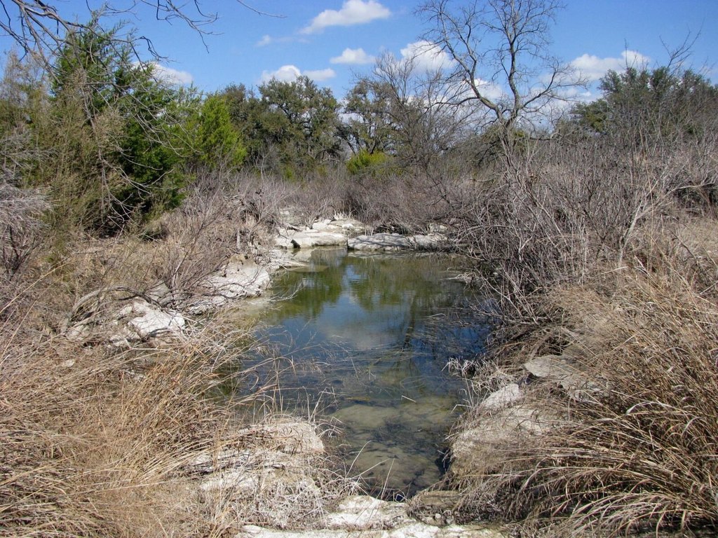 Picture 15