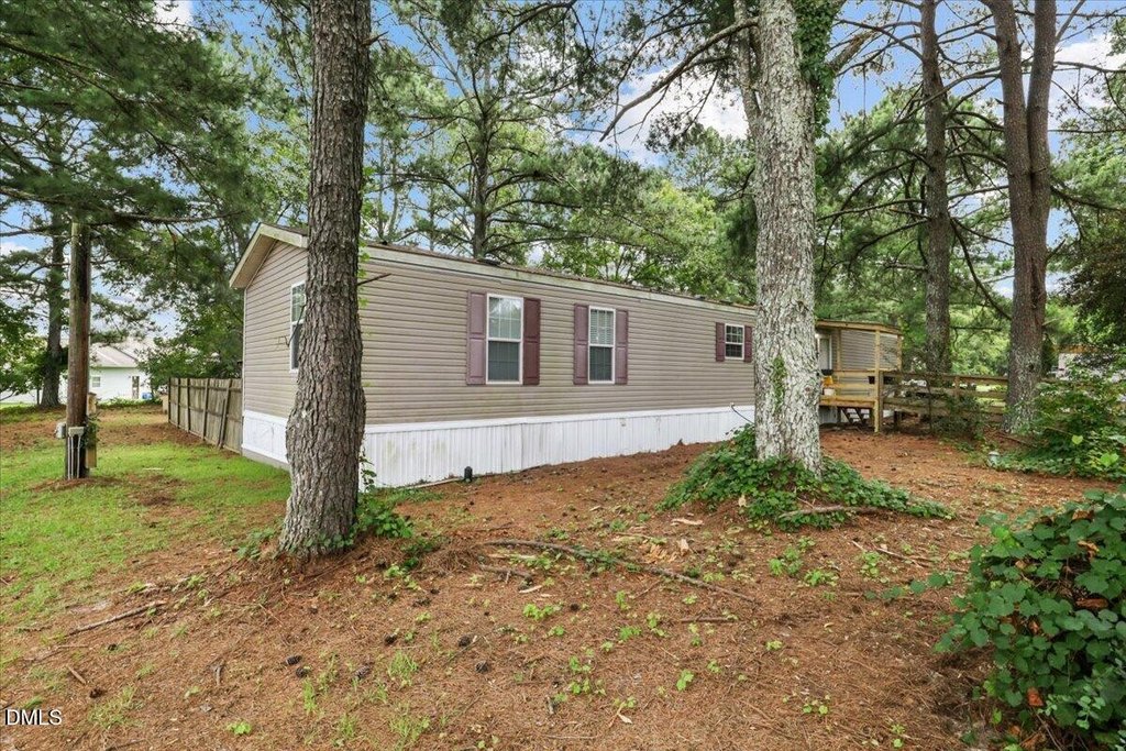 Picture 7
