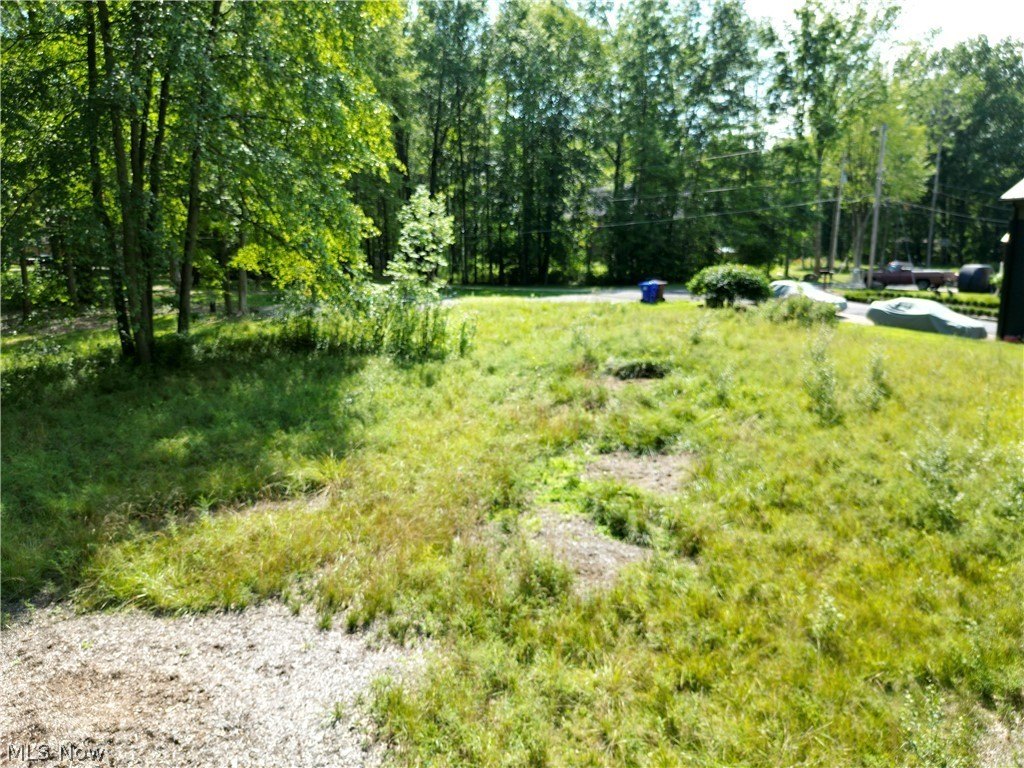 Picture 13