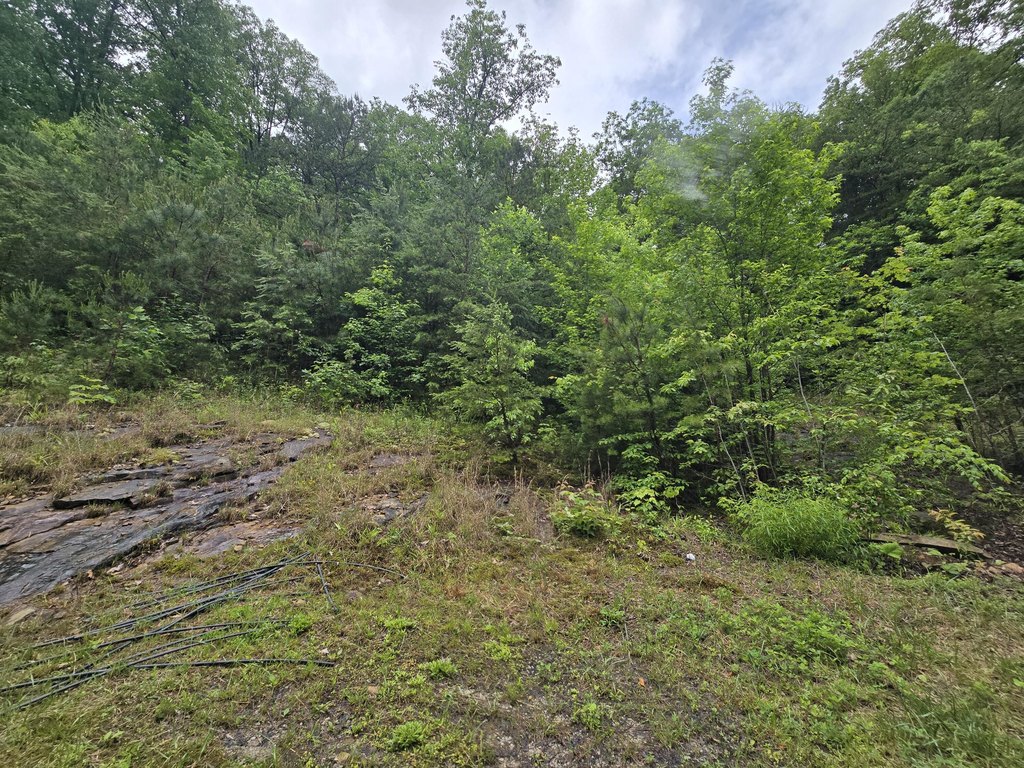 Picture 14