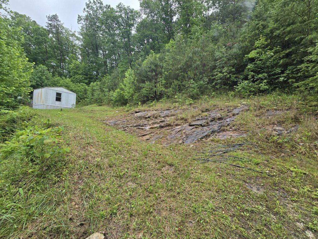 Picture 13