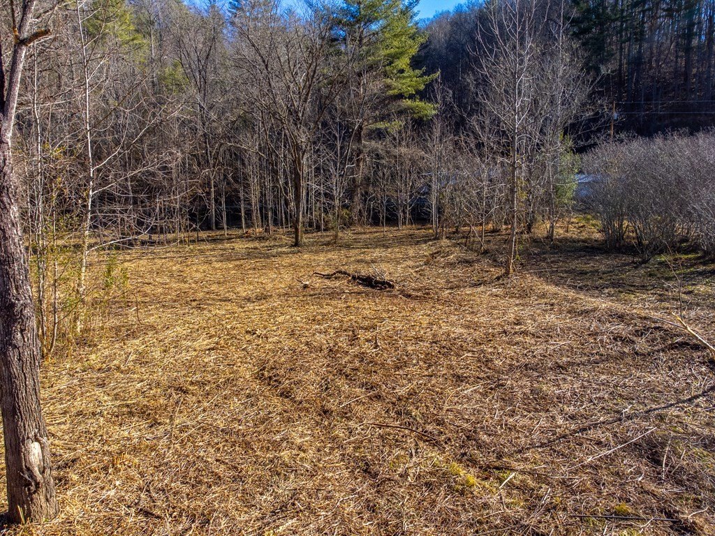Picture 38