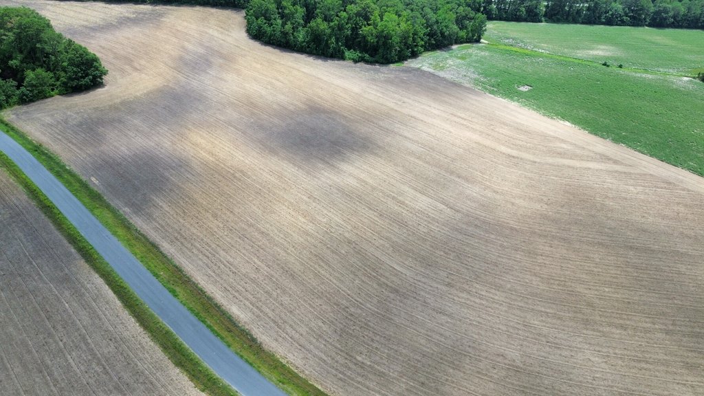 Picture 25