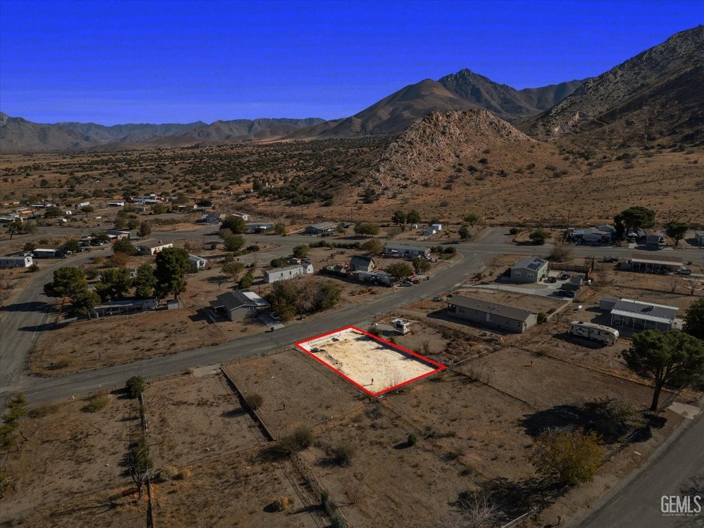 Picture 8