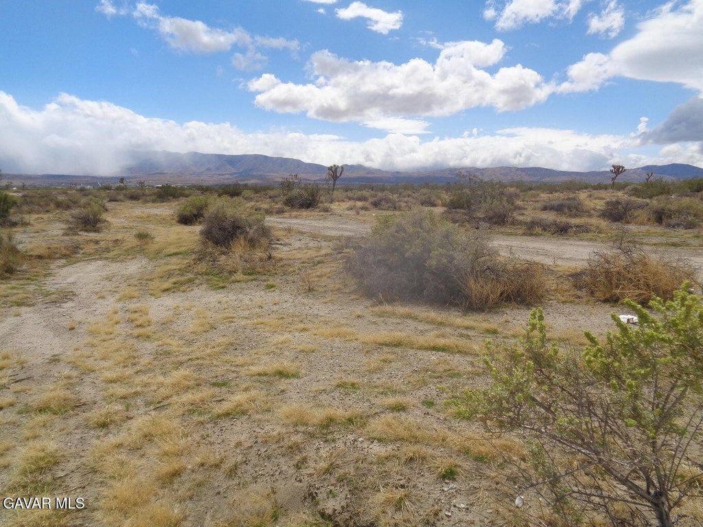 Picture 3