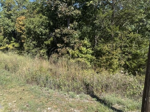 Land, Holiday Island, AR