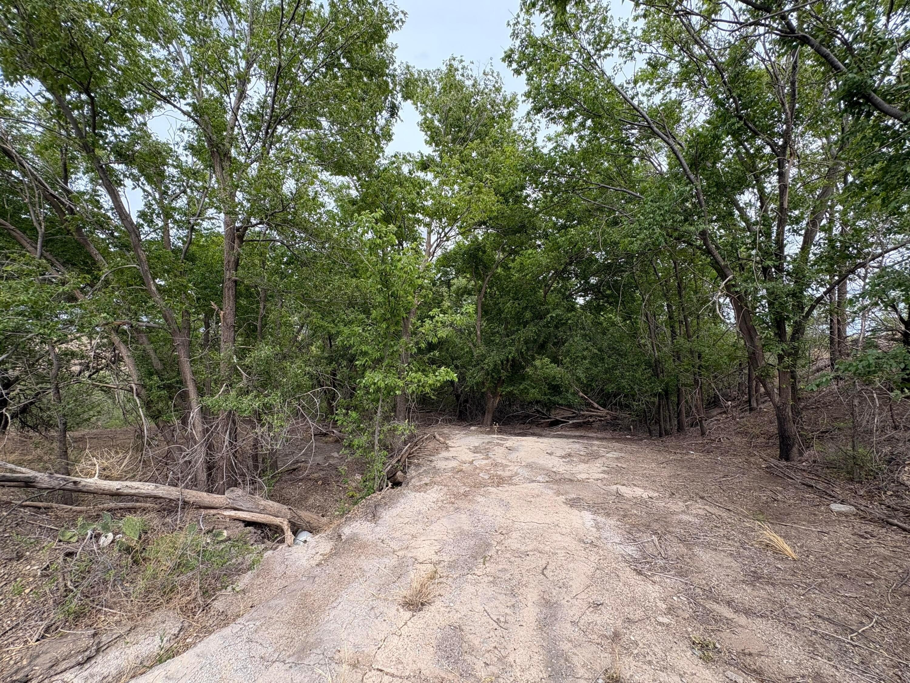 Canyon, TX Land with Building
