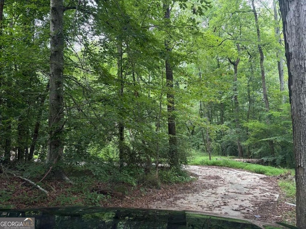 Picture 8