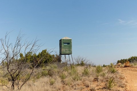 Cattle and Recreation Ranch