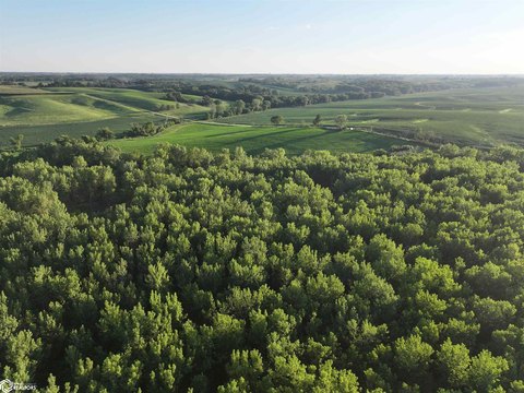 Recreational Land Along South Skunk River