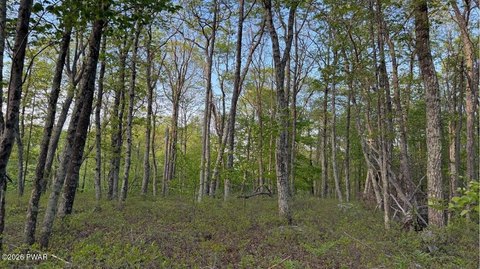 Wooded Land in Upscale Community