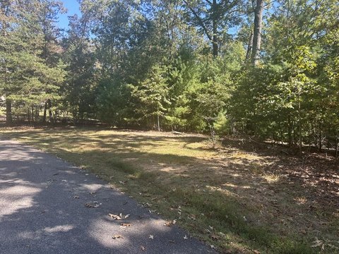Vacant Lot, Morganton, GA