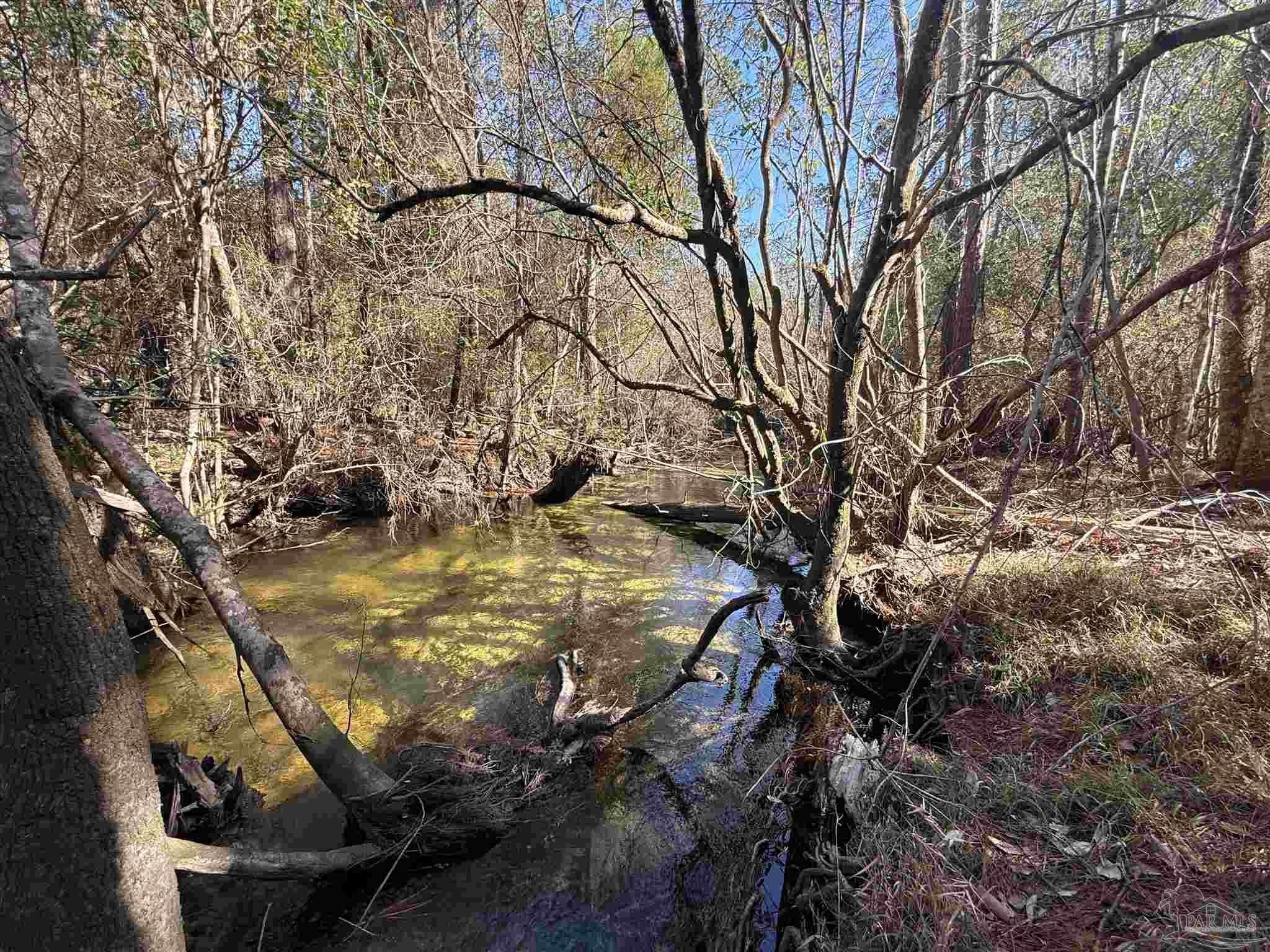 Creek-Access Homesite in Gated Community