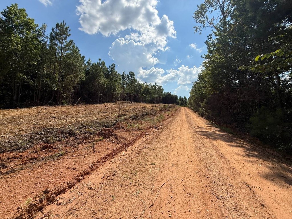 Picture 26
