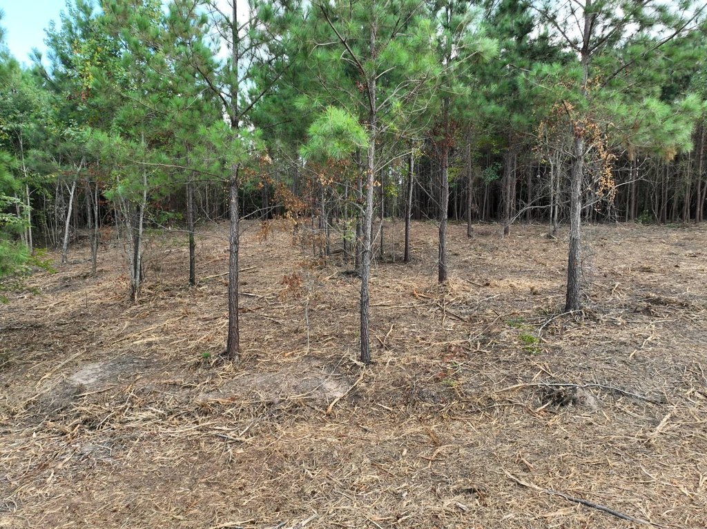 Picture 16