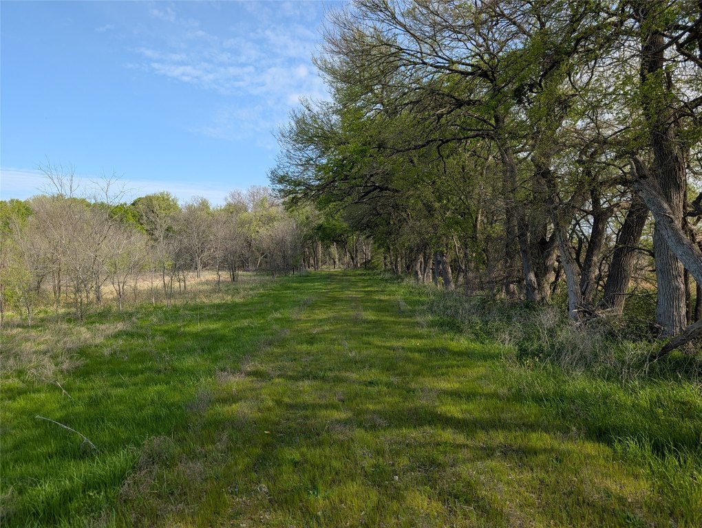 Picture 11