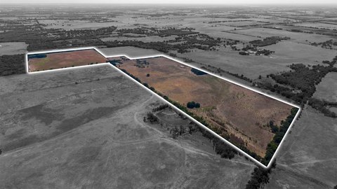 Cleared Land