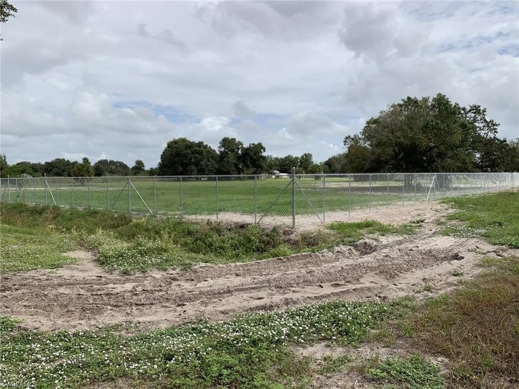 Picture 4
