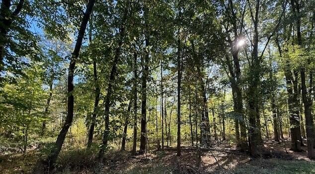 Plainwell Land For Sale