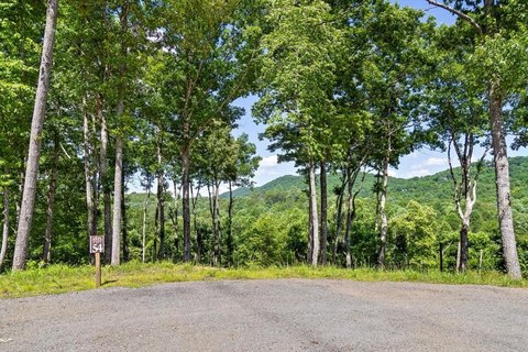 Vacant Lot - Mineral Bluff, GA