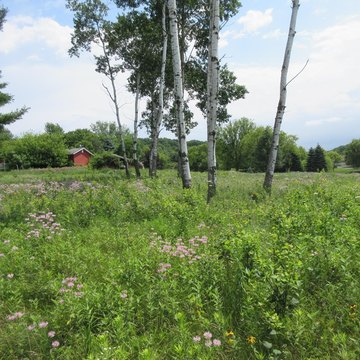 LAND - Menomonie, WI